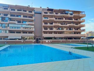 Pis  Albacete