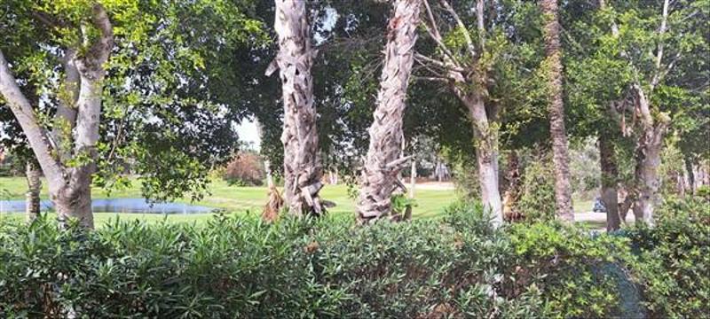 Foto 2e6f0419-5f84-488f-aea3-e5b1a98dffe6. Casa amb aparcament piscina a Alicante golf Alicante