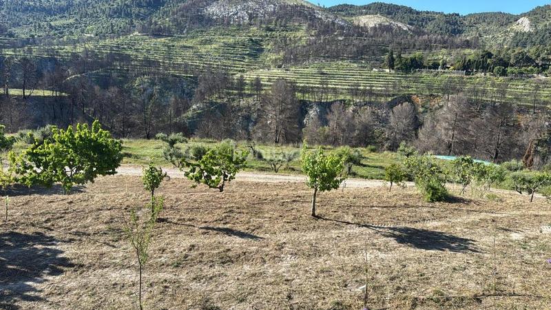 Foto 06d1f50c-2721-4d35-a1b0-f678077f432f. Maison avec parking piscine dans Penàguila