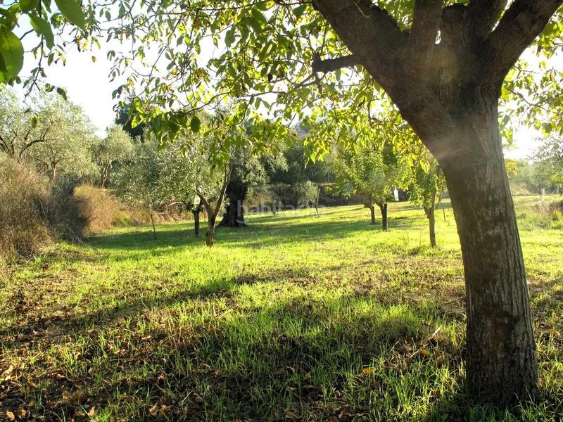 Foto 525185d0-7a50-4536-9b6e-13afc29c9d38. Maison avec parking piscine dans Penàguila
