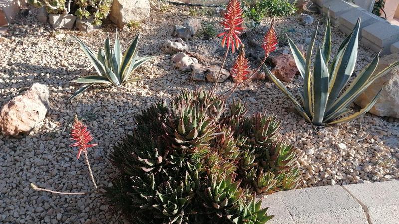 Foto 73edd0e0-dcb9-4252-a69d-cb6df9f95315. Casa en Busot