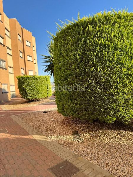 Foto db29cae8-d877-483b-8416-529f6403765a. Pis a Los Martínez del Puerto Murcia