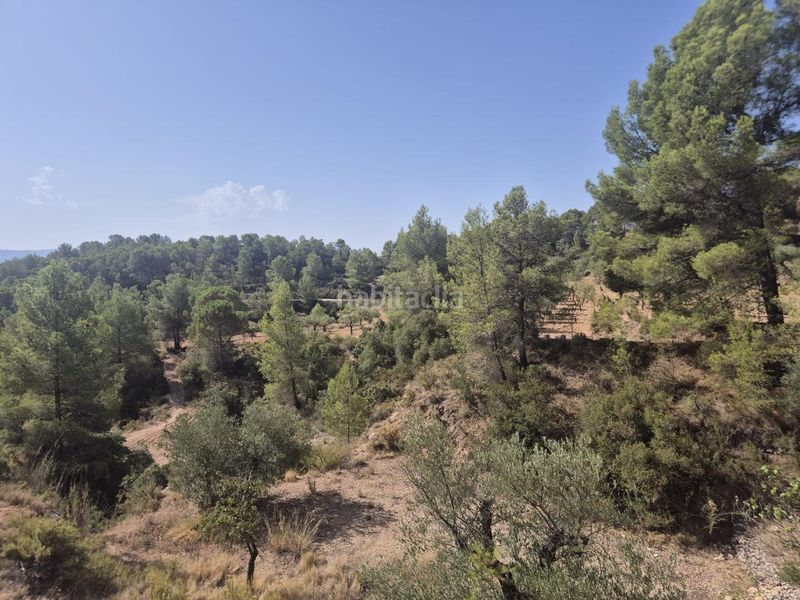 Foto 0511d804-4d6e-47fe-b437-1d5b83f7671e. Masia a Onil