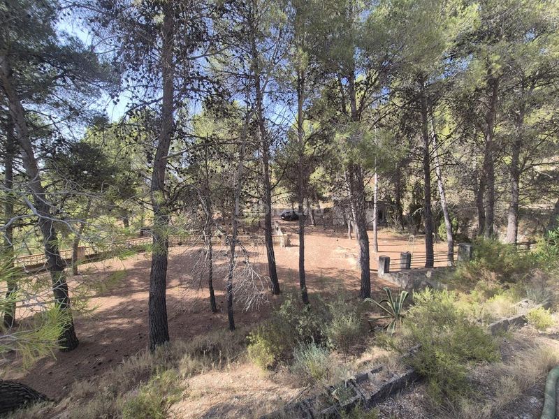 Foto 20747b53-78ae-457f-bc08-9b6adf805a03. Masia a Onil