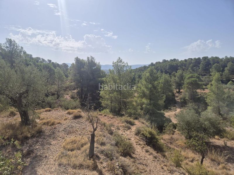 Foto 6e27c945-0ab1-41ff-8935-6f0bc272dbb5. Masia a Onil