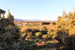 Bauernhof in Llubí. Finca rústica en llubí