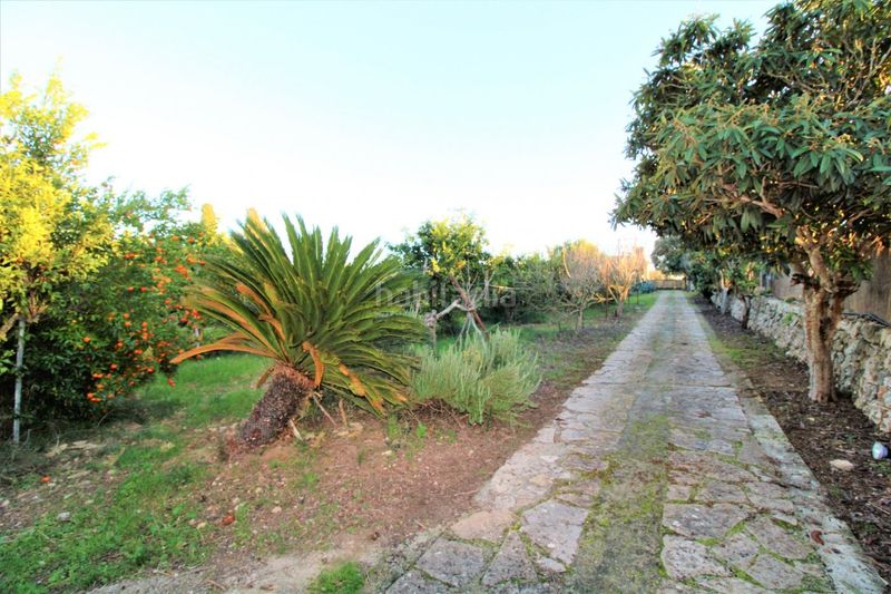 Foto cf4ca81e-5460-4fec-8318-e658a1e907ba. Masia amb piscina a Llubí