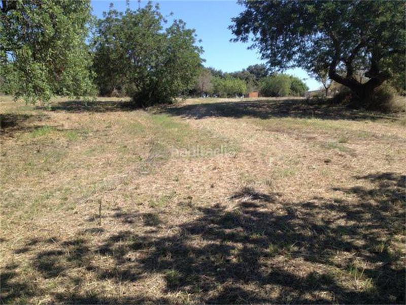 Foto 468156e0-ff9a-42dc-a378-466cb7723738. Finca rústica a Lloseta