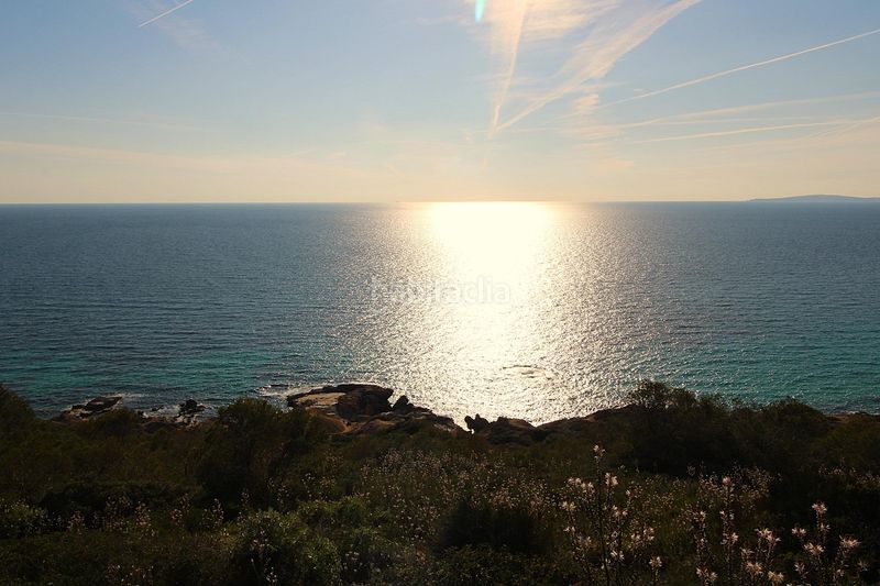 Foto 9169d49f-ea68-43ba-b017-784c9f00b340. Àtic amb piscina a Maioris-Puig de Ros Llucmajor