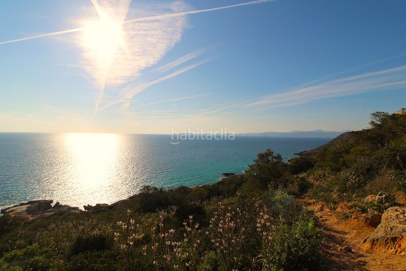 Foto a6534af6-dfa7-4a85-9ec8-dd34e923ed38. Àtic amb piscina a Maioris-Puig de Ros Llucmajor