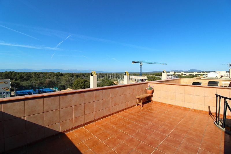 Foto a6815ca6-3287-413c-86e5-013307ef1b6f. Àtic amb piscina a Maioris-Puig de Ros Llucmajor