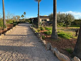Mas dans Sencelles. Finca rustica en sencelles