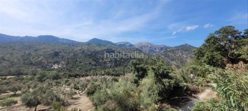 Foto 2d8594aa-a828-4097-acee-7ff5a72e66c0. Masia a Bunyola