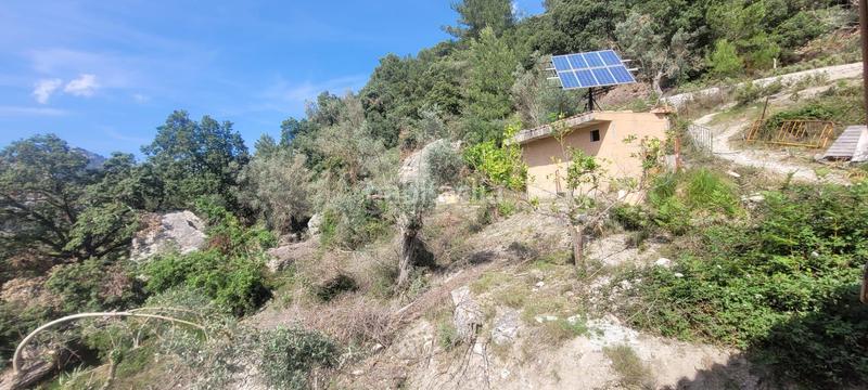 Foto 38aacc56-82a7-4d07-82b9-c3591f85e595. Masia a Bunyola