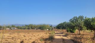 Rural plot in Santa Eugènia. Terreno en santa eugenia