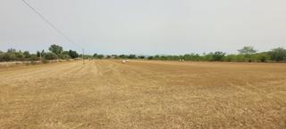 Finca rústica a Carrer de palma 99. Se vende solar urbanizable entre algaida y sencelles