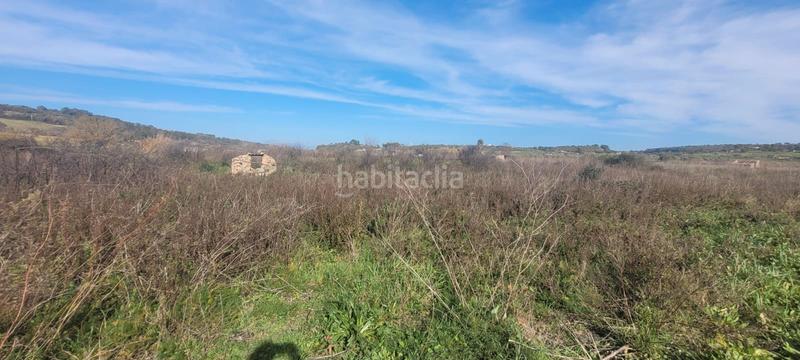 Foto 0b3b2207-cc0f-4ef3-b0a2-205e84e3dfd0. Finca rústica en n/a se vende terreno en Algaida