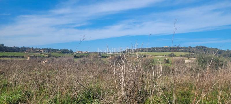 Foto 7832b01e-b0a7-492e-ad88-daa7a0c8a979. Finca rústica en n/a se vende terreno en Algaida