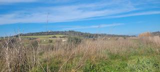 Finca rústica a N/a. Se vende terreno en algaida