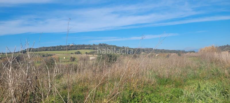 Foto 80de6c20-3290-44ce-acfc-cb01cb557654. Finca rústica en n/a se vende terreno en Algaida
