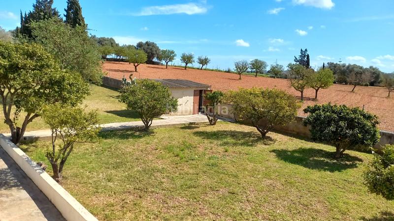 Foto 67d8cd19-ce92-453b-9ba9-e4f5cc1b0a1c. Location mas dans carrer rafal dans Sencelles