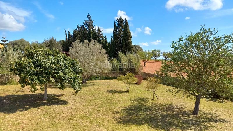 Foto 5a81d12a-1c02-4875-9382-9426f7b29372. Alquiler masía en carrer rafal en Sencelles