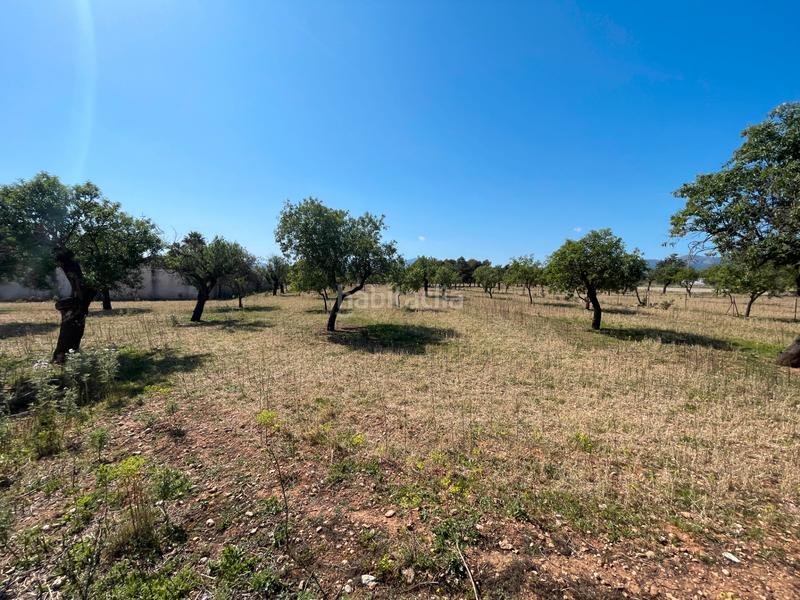 Foto 9308f68f-4bde-4a1b-b9f5-92f53d6fc9a5. Chalet in carrer de can sionet 183 in Es Garrovers Marratxí