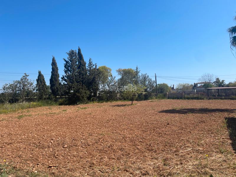 Foto d522c834-7c8c-4fcd-984d-88952cf6d9e6. Chalet in carrer de can sionet 183 in Es Garrovers Marratxí