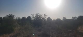 Finca rústica a N/a. Se vende solar en algaida