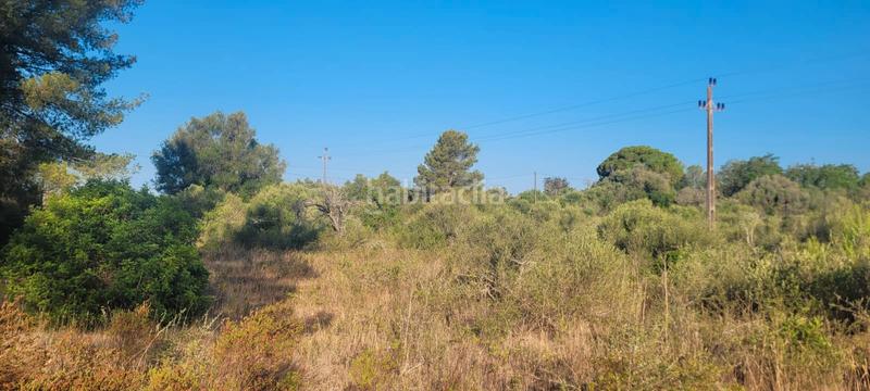 Foto 070219d0-ac53-45fd-a5b7-ab6958ee8ad6. Landgut in carrer rafal in Sencelles