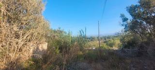 Rural plot in Carrer rafal, d'es 50. Se vende terreno edificable en sencelles