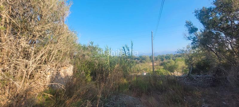 Foto 319d5ffa-80e2-4729-88ef-5719a85b8cdd. Landgut in carrer rafal in Sencelles