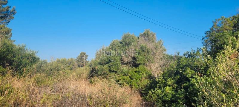 Foto 5112eae8-c7b4-4533-bd0a-b29b2e2c90ba. Landgut in carrer rafal in Sencelles