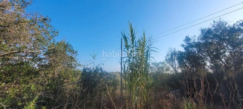 Foto b7c92162-ad37-4cc3-af86-abde0af0b60f. Landgut in carrer rafal in Sencelles