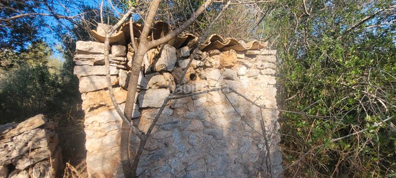 Foto bd286075-3672-4bd3-a392-784e60ea7c51. Landgut in carrer rafal in Sencelles