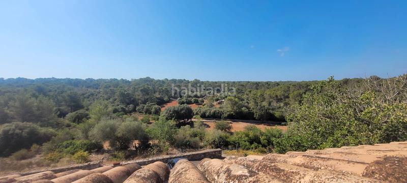 Foto 07a9eee5-cf07-4228-bf14-9e460cc2c9e6. Masía se vende magnifica rustica en santa eugenia en Santa Eugènia