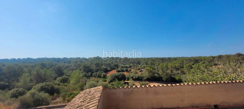 Foto 9740d51c-5d58-4f92-9d79-54a11b39ff7f. Masía se vende magnifica rustica en santa eugenia en Santa Eugènia