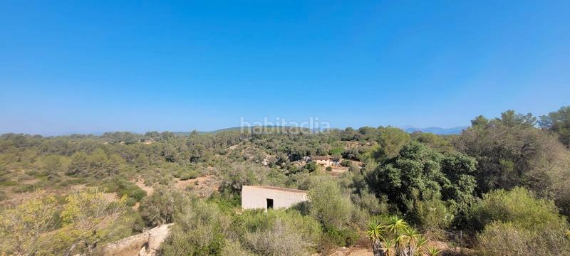 Foto e7400c58-d65b-403b-ac20-a7598fc5086d. Masía se vende magnifica rustica en santa eugenia en Santa Eugènia