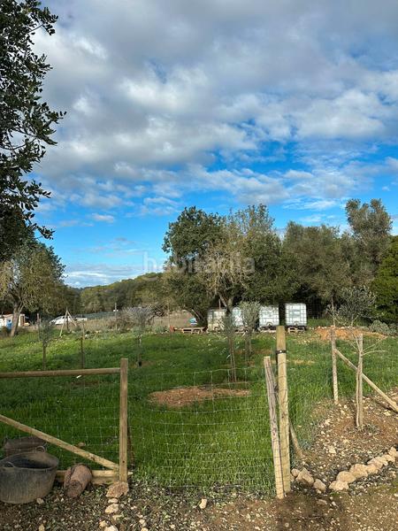 Foto f7776e9f-2df5-40d3-bb58-c13ac6ed57ff. Fondo rustico in Algaida