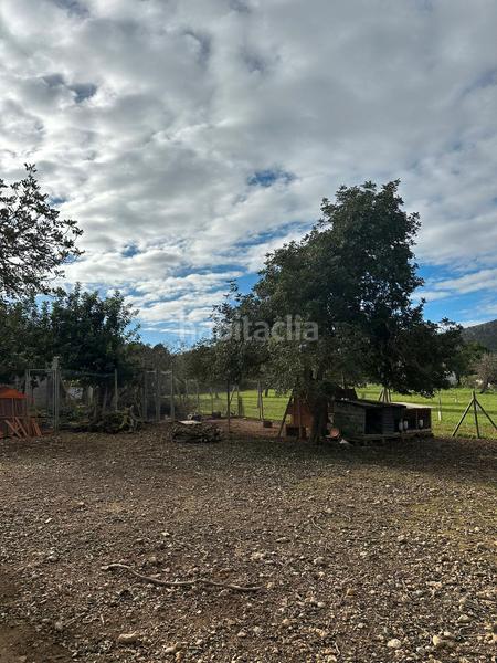 Foto 31cd2660-9295-4b01-9489-c91c03af03cb. Landgut in Algaida