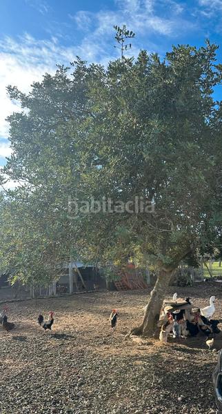 Foto 6c61f98b-6dc6-442b-986b-820cdd1fd02f. Landgut in Algaida