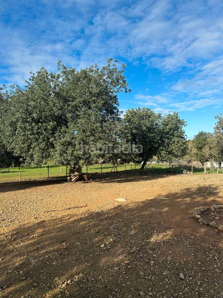 Foto 72f2559e-f660-4e28-9fc0-c6788fbb2cff. Landgut in Algaida