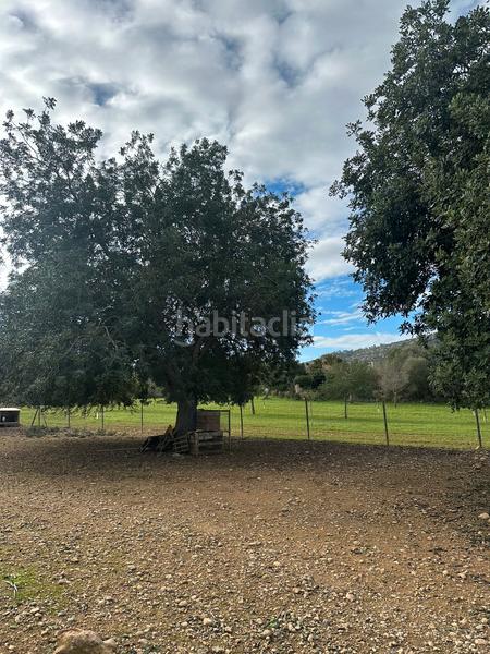 Foto c5920696-8fd1-4112-9593-652278f8a8a9. Landgut in Algaida