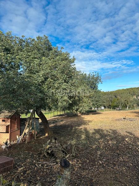 Foto d64751a7-bf55-4ed8-a52a-eef88d264a21. Landgut in Algaida