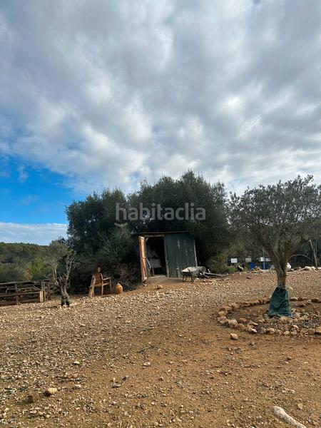 Foto 170cffbe-3148-4170-8b33-fd35248bd25c. Propriété dans Algaida