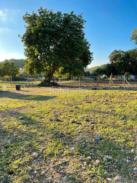 Foto 3d14dd36-2320-4e6a-b640-e0cf0ea7db88. Propriété dans Algaida