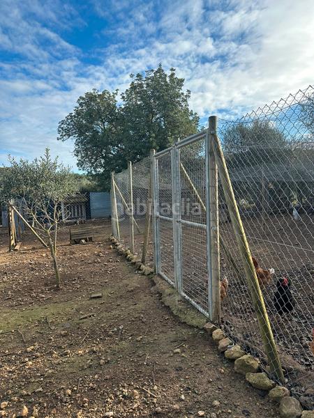 Foto 750b6f64-95b2-4b79-bbe3-86733157fc77. Propriété dans Algaida