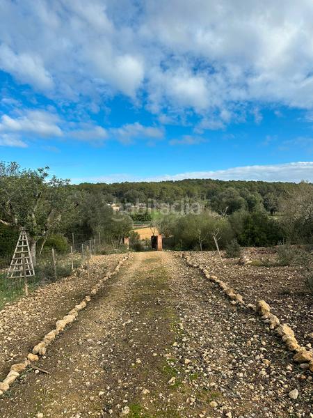Foto ae47abe7-b6c0-4c10-83e1-066acdb275a0. Propriété dans Algaida
