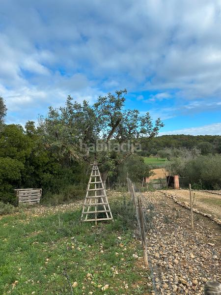 Foto af57bdae-dc3c-4298-8ec4-7cc80ef7f74a. Propriété dans Algaida