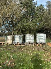 Rural plot  Carrer des cavallers